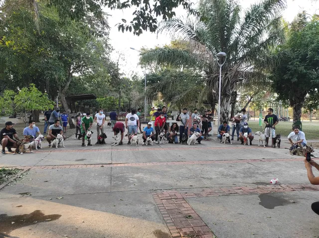 Urbano "Jardin Latino" D10 Park