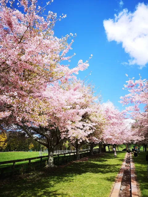 Ikeda Hall Peace Garden Entrance