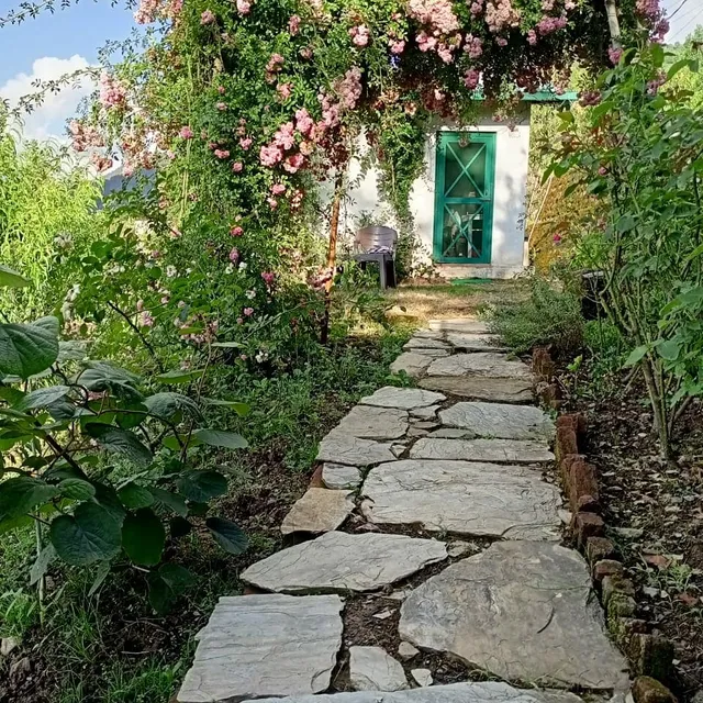 Divine Living holiday home stay , cafe & snack bar