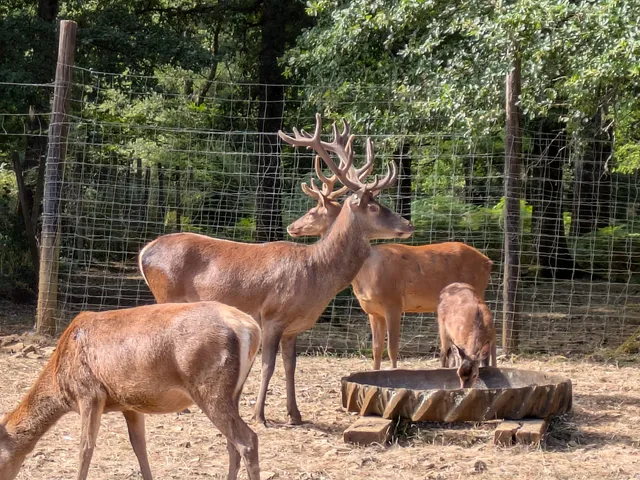 Les 2 Noix'elles - EARL La Forêt du Brame