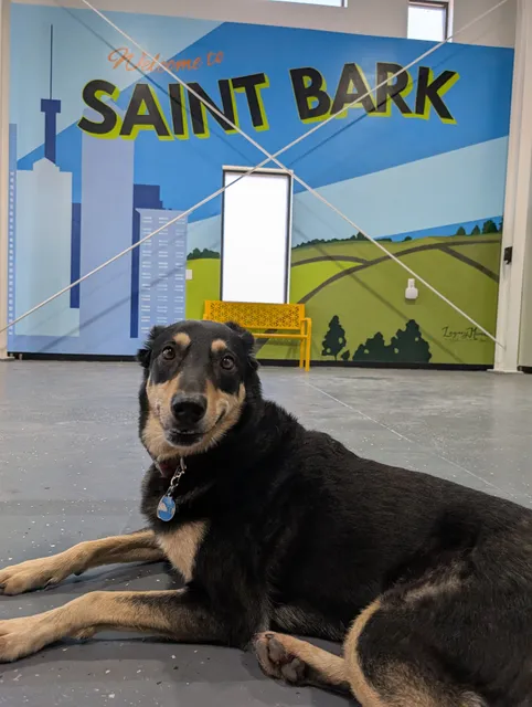 Saint Bark