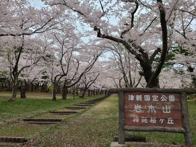 Iwakisan Sakurabayashi Park