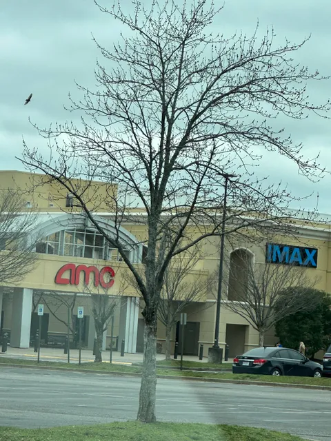 IMAX