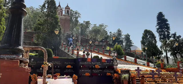 La Vid Metepec centro