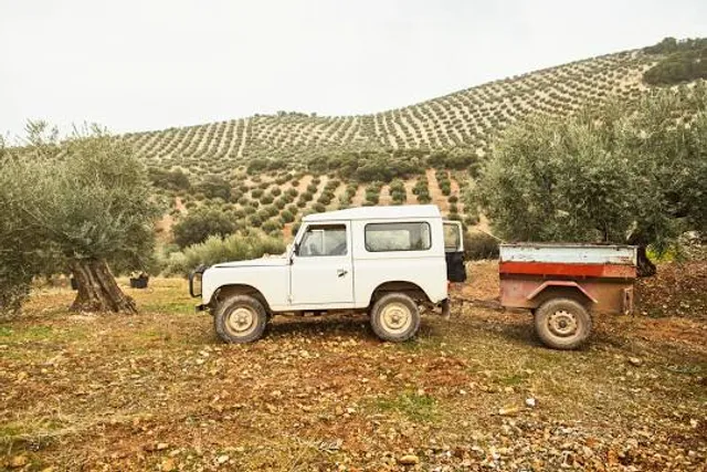 Poblado Íbero "El Cerro de la Cruz"