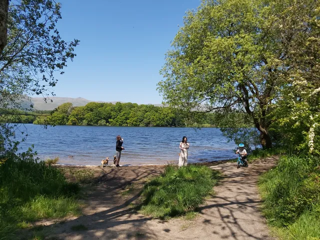 Gartmorn Dam Country Park