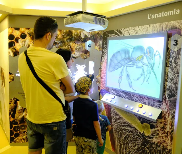 Centro de Interpretación Apícola Muria