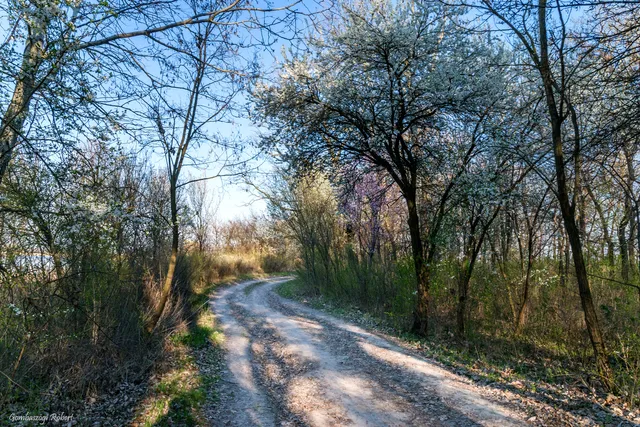 Kékmoszat tanösvény