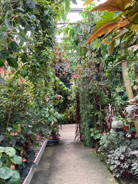 Conservatoire du Bégonia