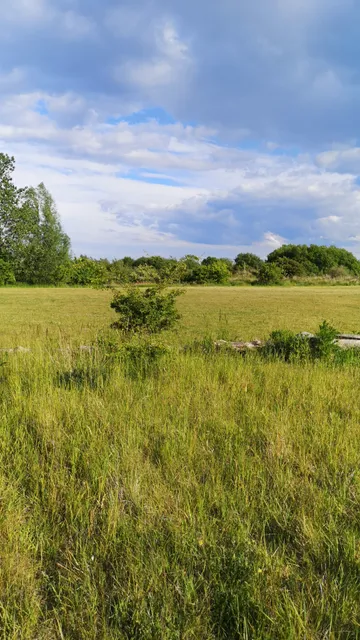 Hedeland Naturlegeplads