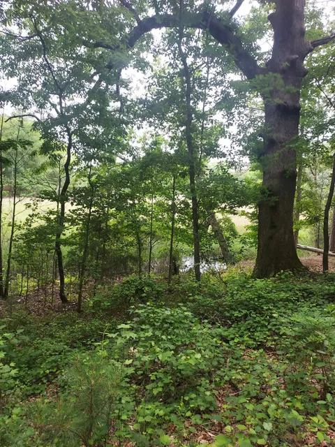 Windsor Castle Trail