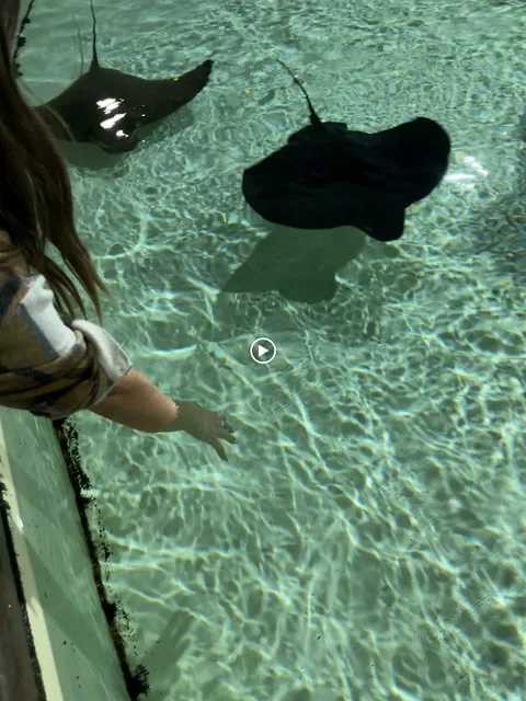 The Underwater Cantina