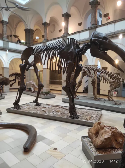 Geologisches Museum München