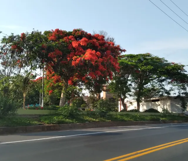 Chepen Perla del Norte Park