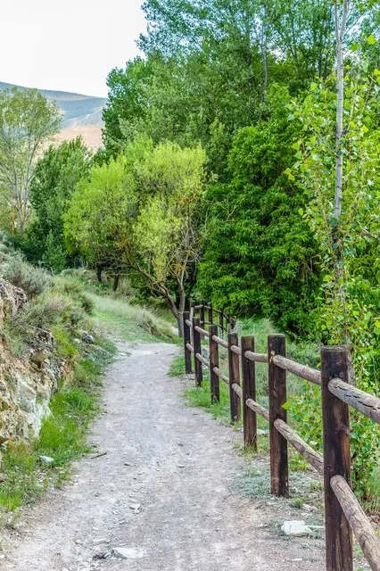 Camino Verde de Cervera Del Río Alhama