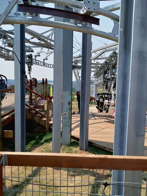 Buffalo Hunt Coaster