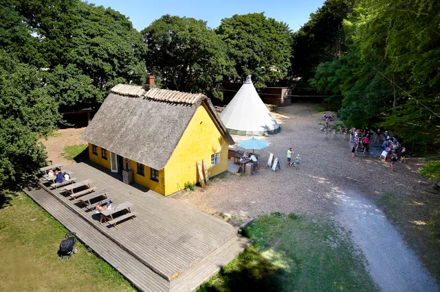 Gorilla Park Svendborg