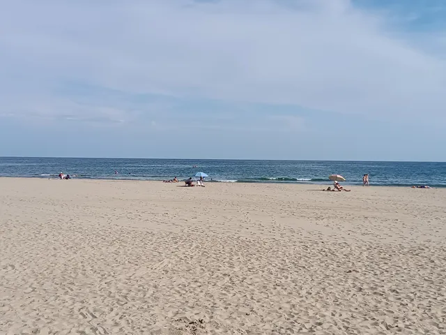 Pratja d’en Forès