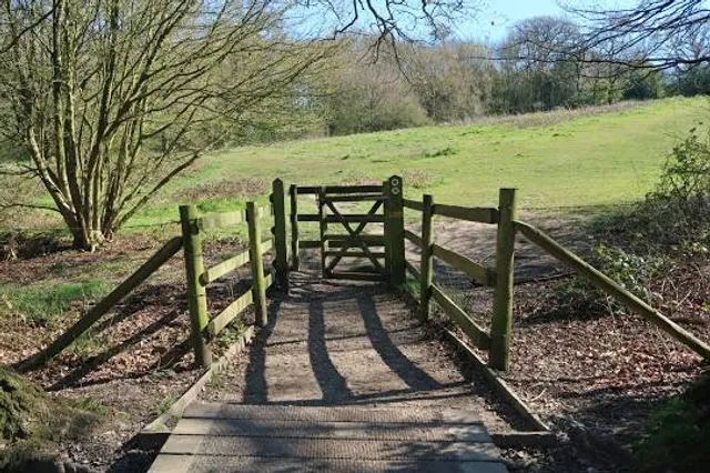 Mill Meadows, Billericay