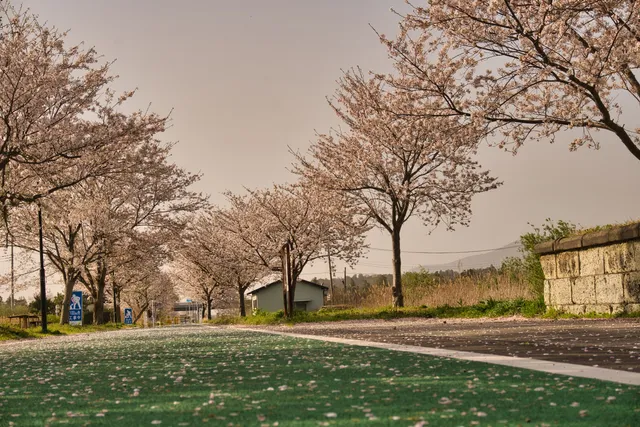 Tsukuba Kasumigaura Ring Ring Road