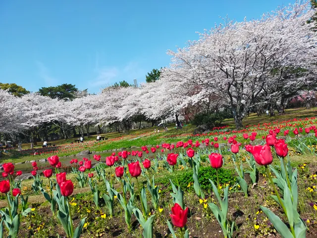Beppu Park