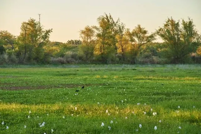Área Natural de Usos Múltiples Parque " Río de los Pájaros "