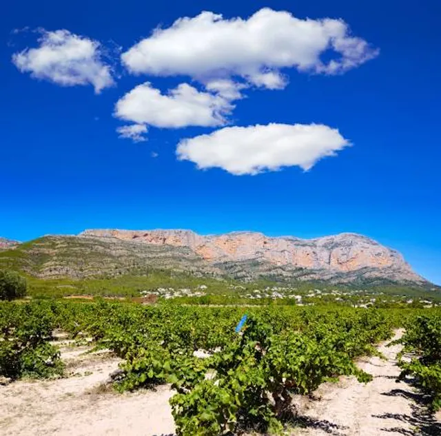 Caballo Lake State Park