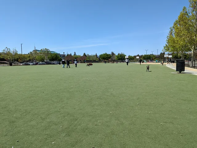 Central Park Dog Park