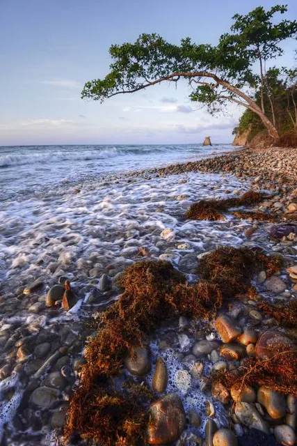 Tempurong Golden Beach Resort
