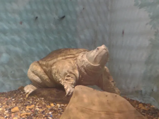 Natchitoches National Fish Hatchery