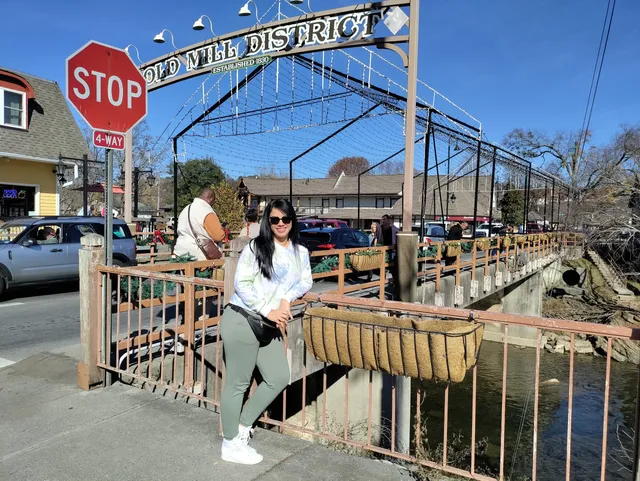 Randall Ogle Gallery