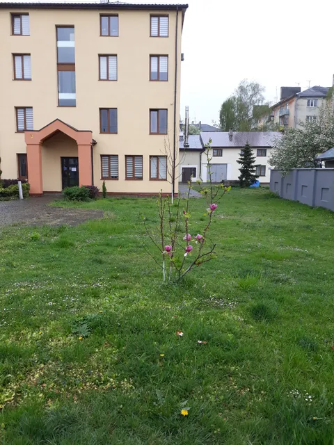 Stryysʹka Yeparkhiya Ukrayinsʹkoyi Hreko-Katolytsʹkoyi Tserkvy