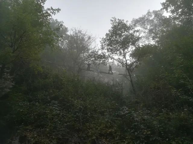 The Outsider Ardennes