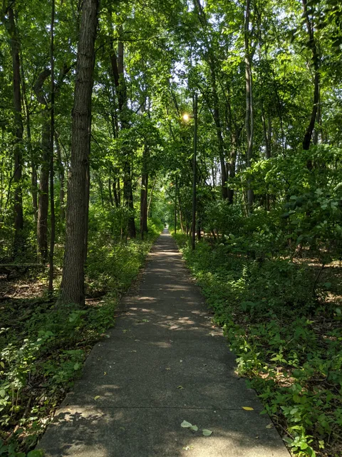Edgebrook Woods
