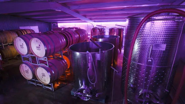 Short Sheep Micro-Winery