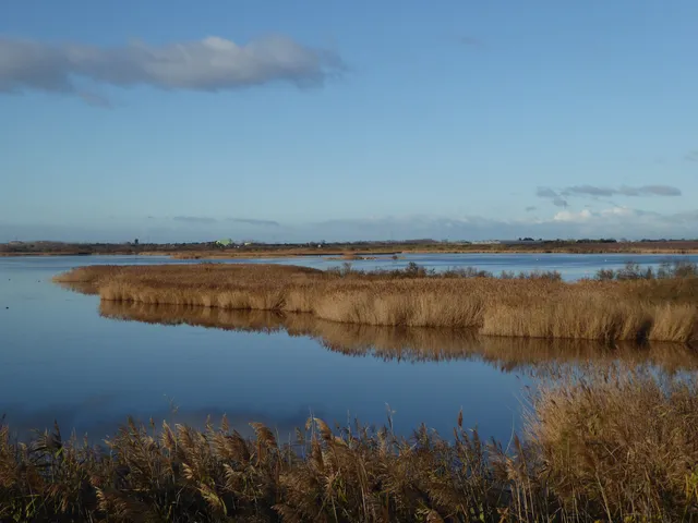 Natural Reserve Bagnas