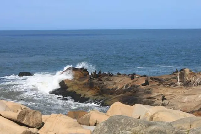 Reserva de Lobos Marinos de Cabo Polonio