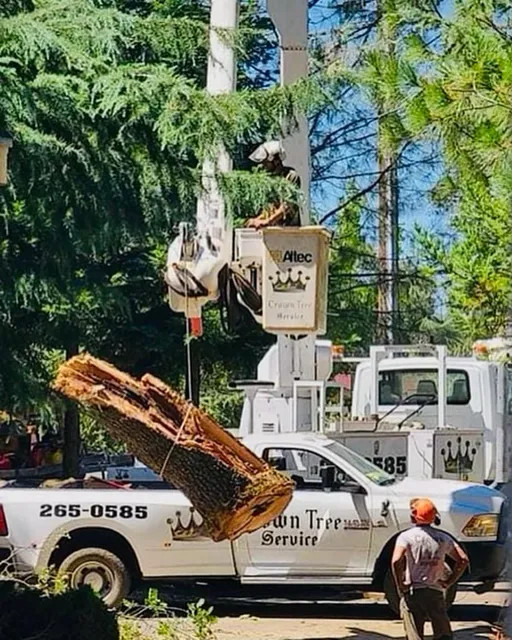 Crown Tree Service