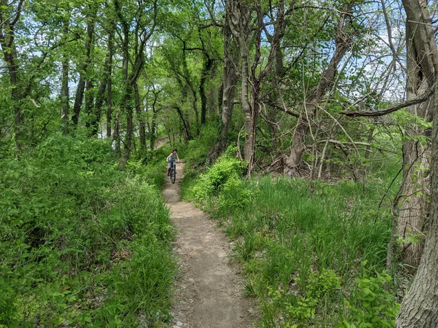 Lawrence River Trails