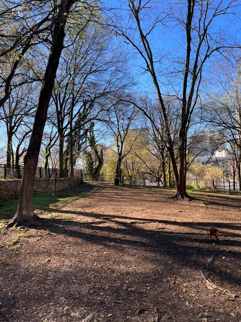 Renaissance Dog Park