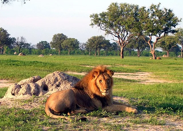 Hwange National Park