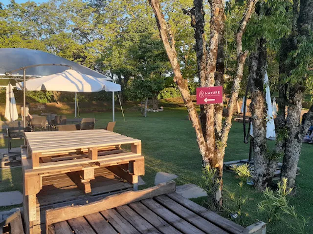 Nature Vinho & Gastronomia