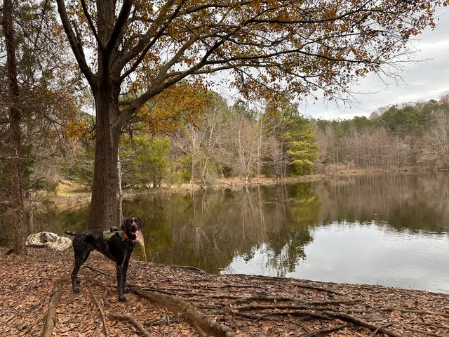 Whitewater Center Off Leash