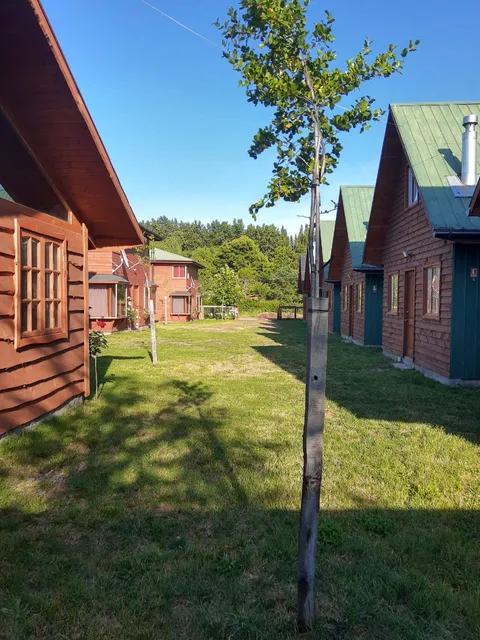 Cabaña Los Robles de Coñaripe