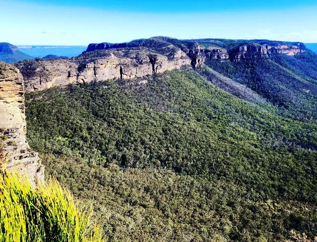 Dardanelles Pass Loop Walking Track