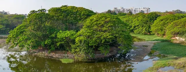 Karanji Lake - Park / Boating / Birds Sanctuary