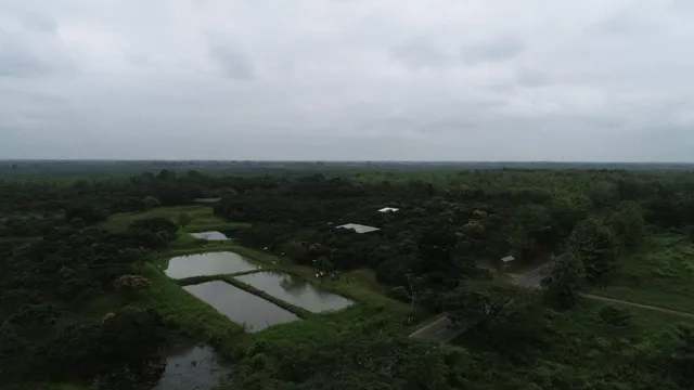 Mango Tour - Agroturismo