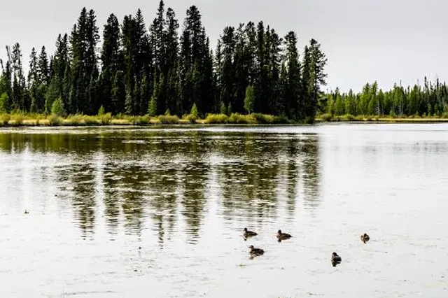 Census Division No. 9