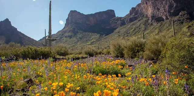 Picacho Peak