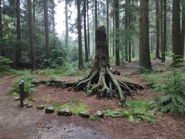 ArTboretum de Mefferscheid